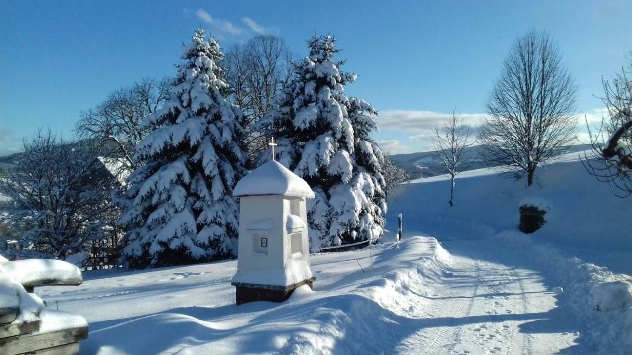 Stylova Chalupa Na Kraji Narodniho Parku Sumava Strunkov Bagian luar foto