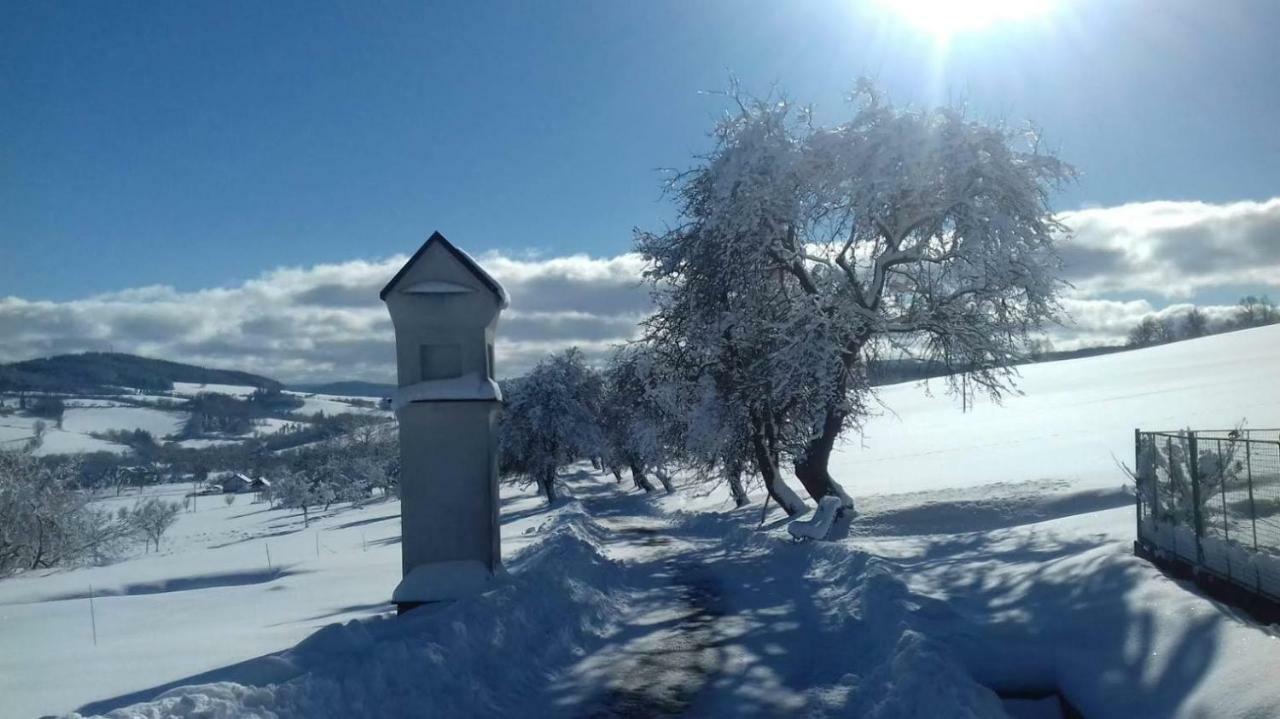 Stylova Chalupa Na Kraji Narodniho Parku Sumava Strunkov Bagian luar foto